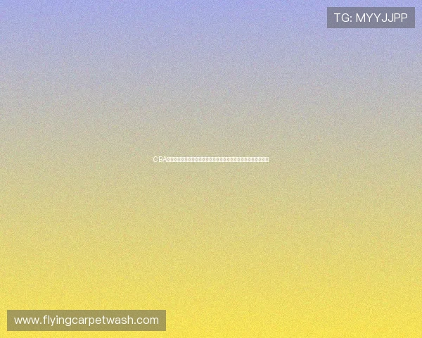 CBA官网入口一站式了解赛程数据球队资讯服务指南球迷必备权威平台