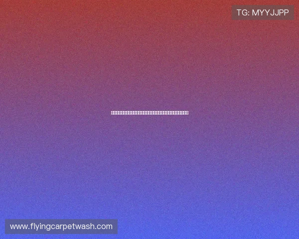 樊振东征战德甲赛场成绩亮眼展现国乒核心实力持续高光表现引发关注