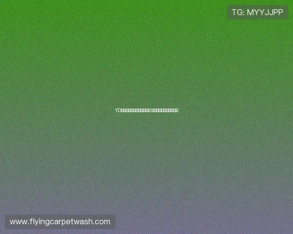 YD体育官网登录入口全面解析 登录流程与安全保障一览