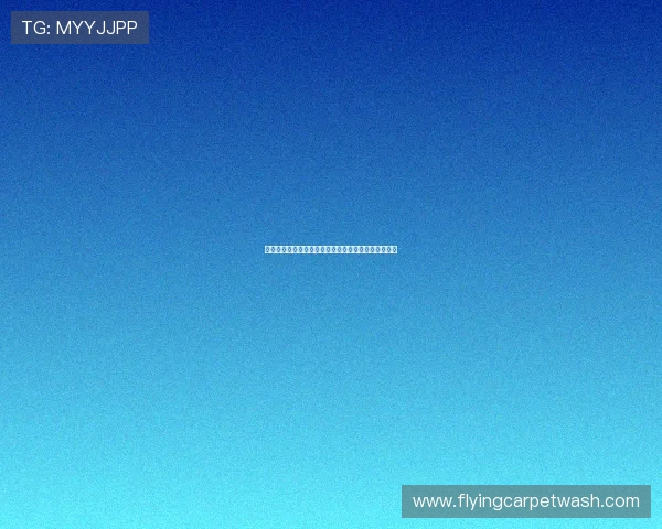 上海五星体育直播平台全方位介绍及赛事精彩内容详解